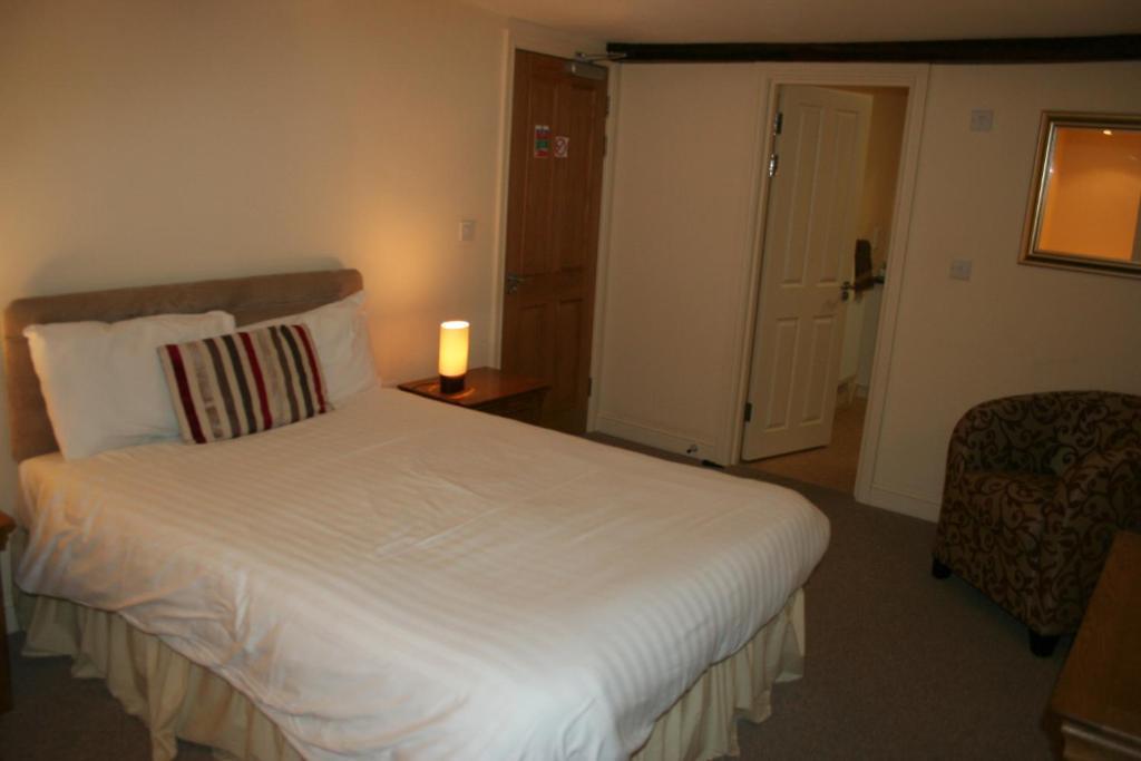 The Trewythen Hotel Llanidloes Ngoại thất bức ảnh