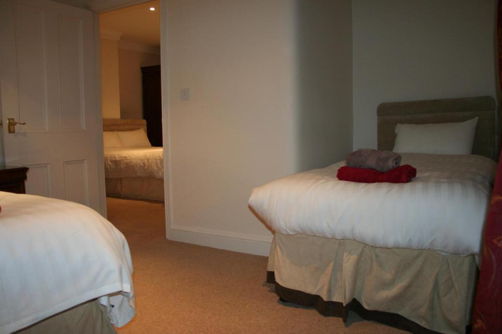 The Trewythen Hotel Llanidloes Ngoại thất bức ảnh